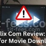 A graphic illustrating the security risks and dangers associated with downloading movies from unauthorized websites like 9xflix Com