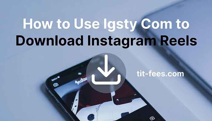 Igsty Com Instagram Reel download interface shown on a smartphone screen